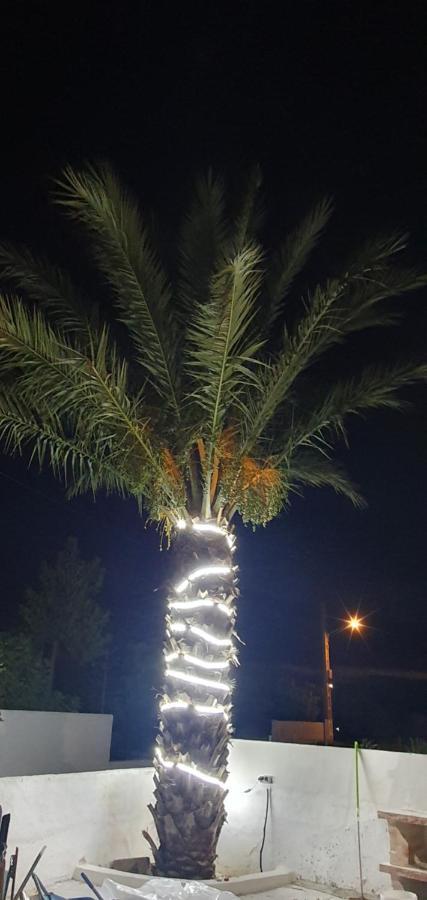 Apartamentos La Palmera Fernan Perez Dış mekan fotoğraf
